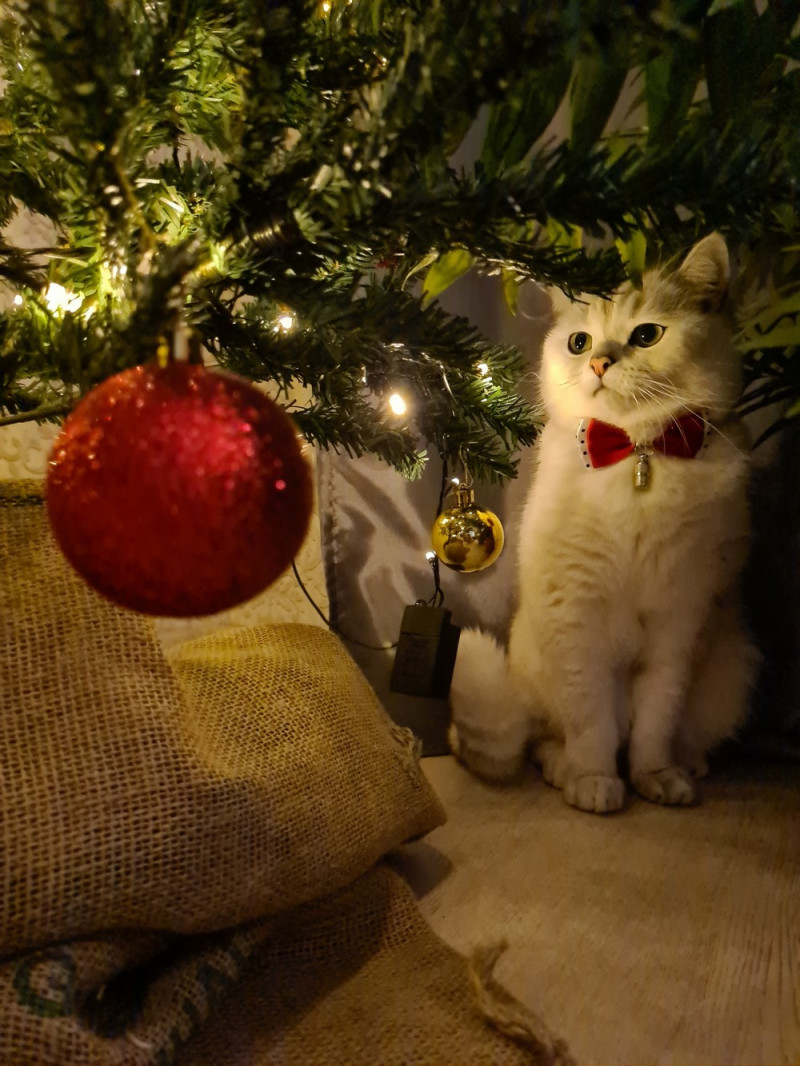 Приколы и позитив