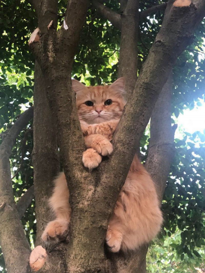 Приколы и позитив