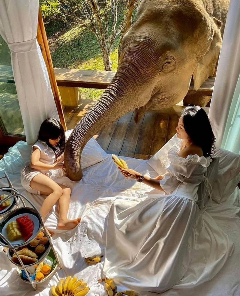 Приколы и позитив