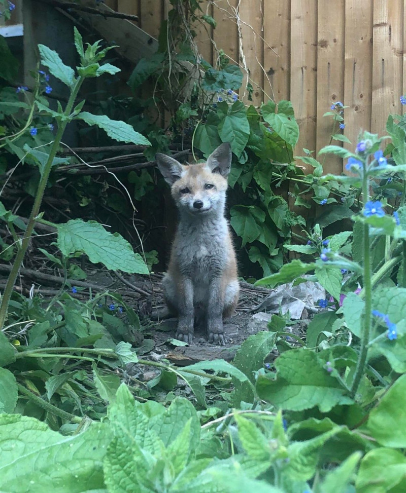 Приколы и позитив