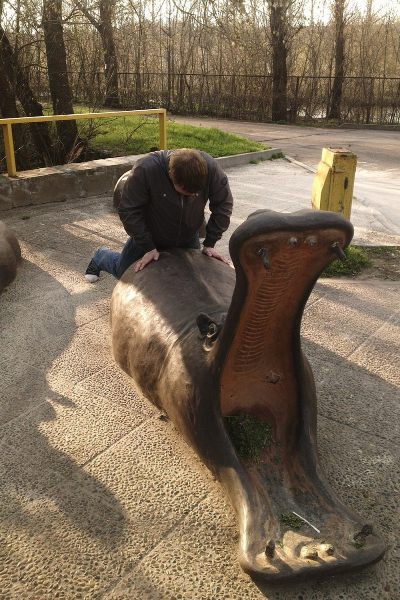 Чудики из социальных сетей