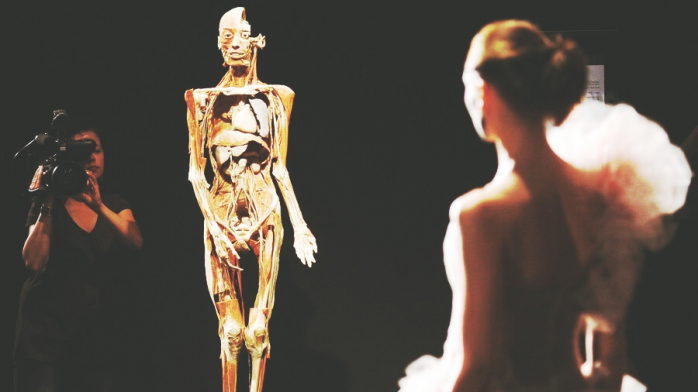 Факты про Внутренние органы