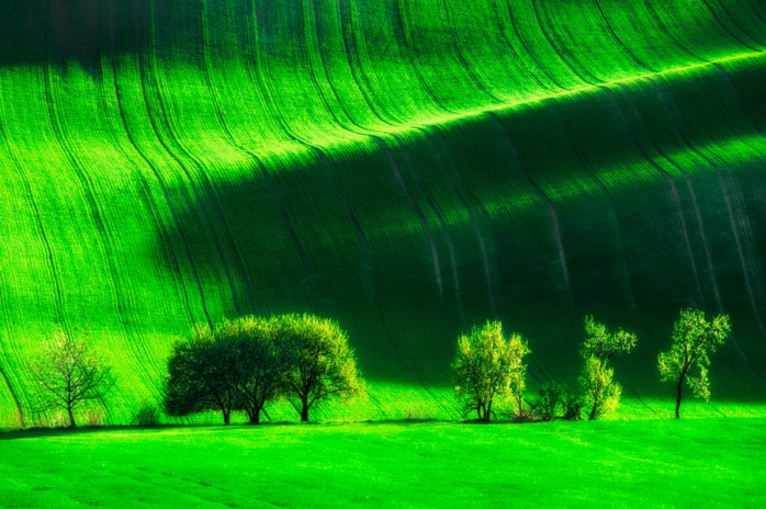 Прикольная картинка для хорошего настроения