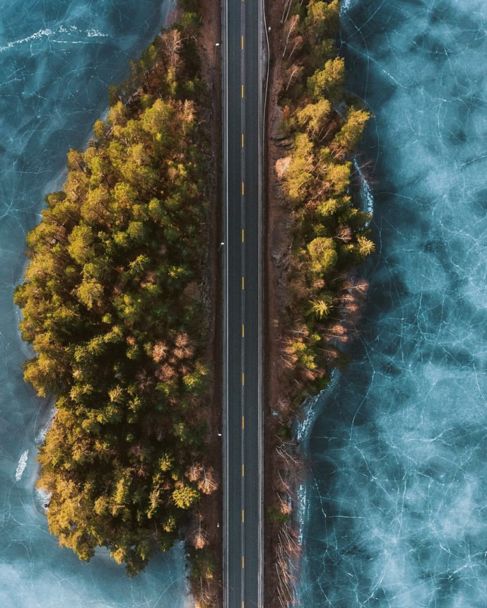 Прикольная картинка для хорошего настроения