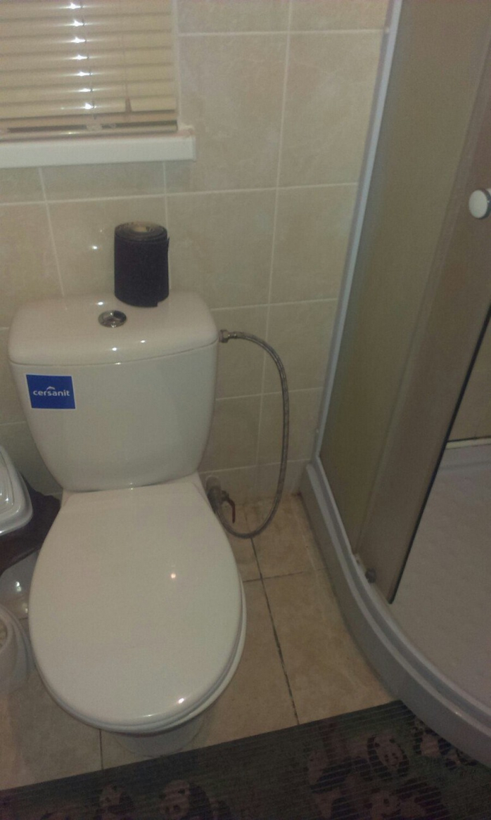 Прикольная картинка для хорошего настроения