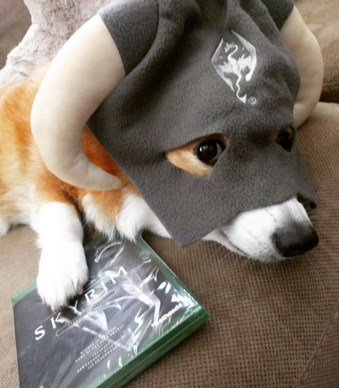 Прикольная картинка для хорошего настроения