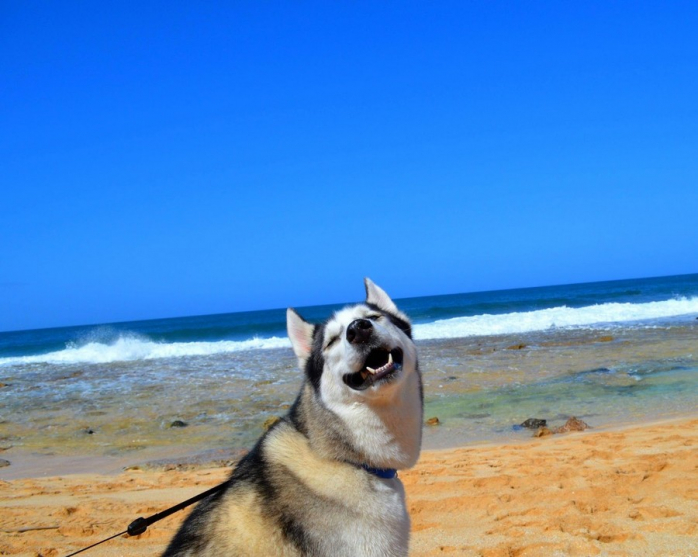 Прикольная картинка для хорошего настроения