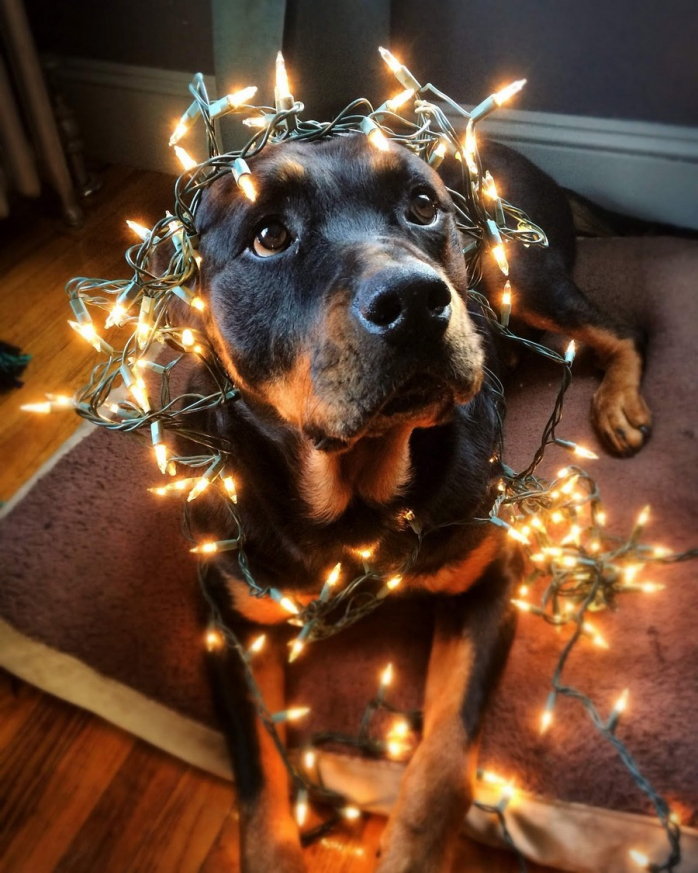 Прикольная картинка для хорошего настроения