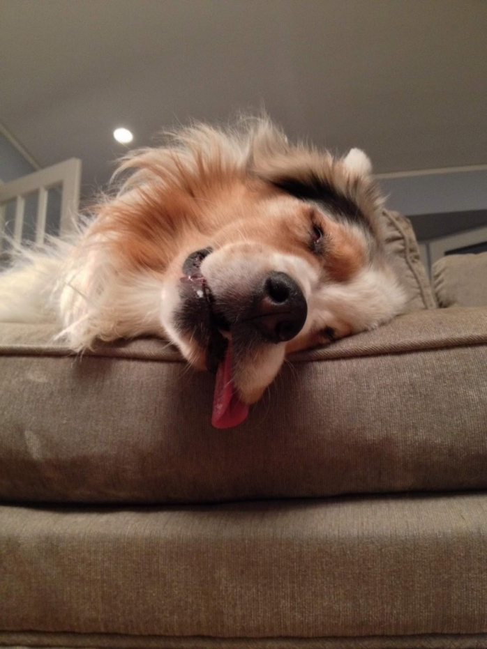 Прикольная картинка для хорошего настроения