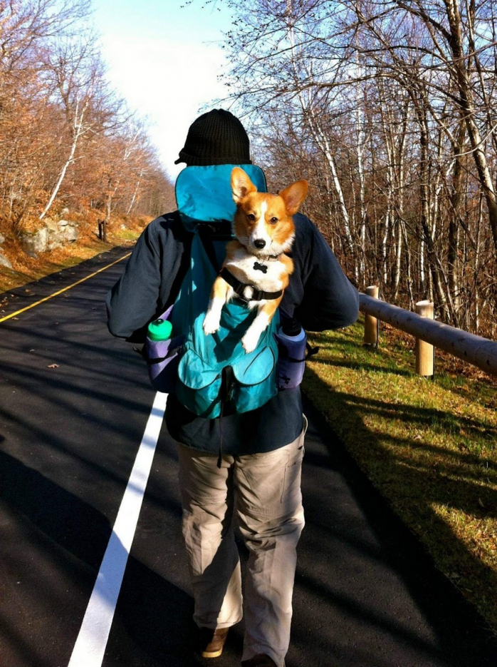 Прикольная картинка для хорошего настроения