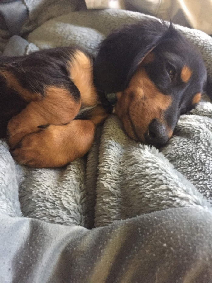 Прикольная картинка для хорошего настроения