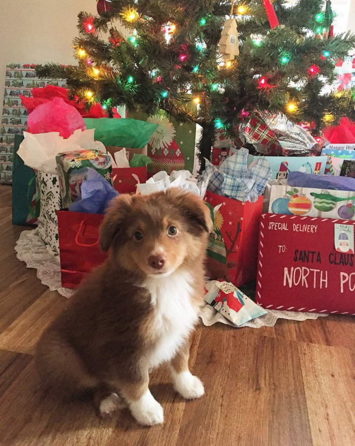 Прикольная картинка для хорошего настроения