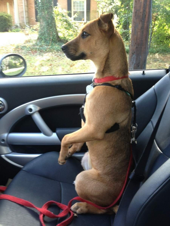 Прикольная картинка для хорошего настроения