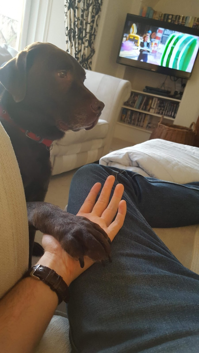 Прикольная картинка для хорошего настроения