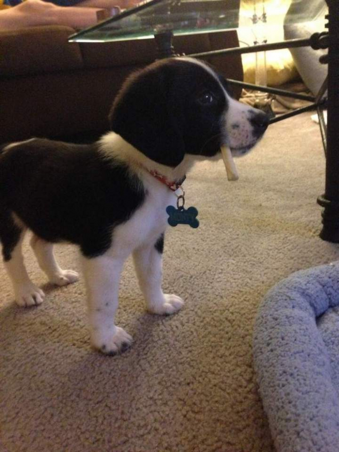 Прикольная картинка для хорошего настроения