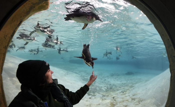 Прикольная картинка для хорошего настроения