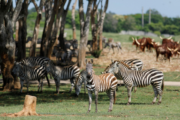 Остров Свободы на Кубе
