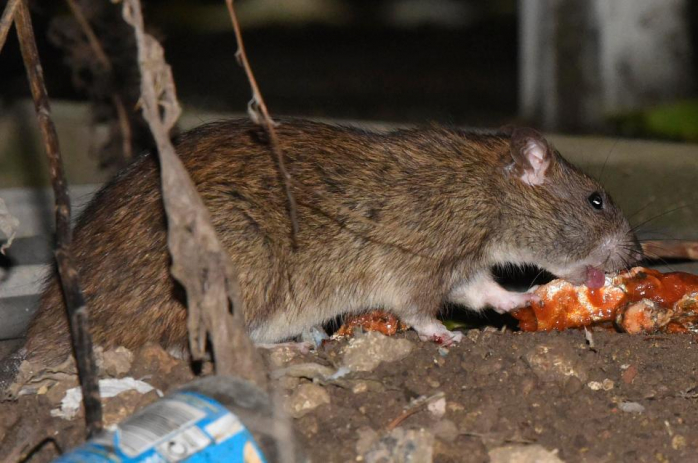 Самым популярное место проживания в Великобритании