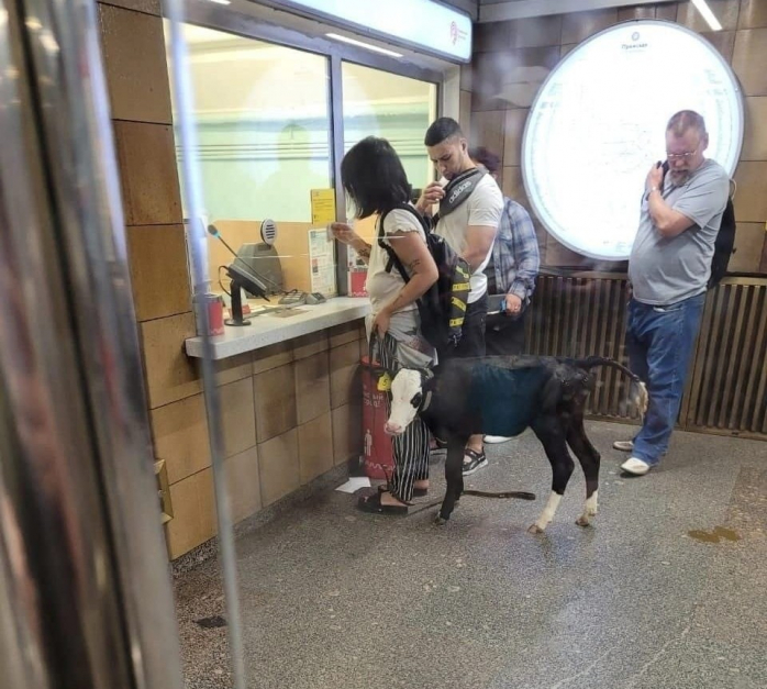 Чудики в метро