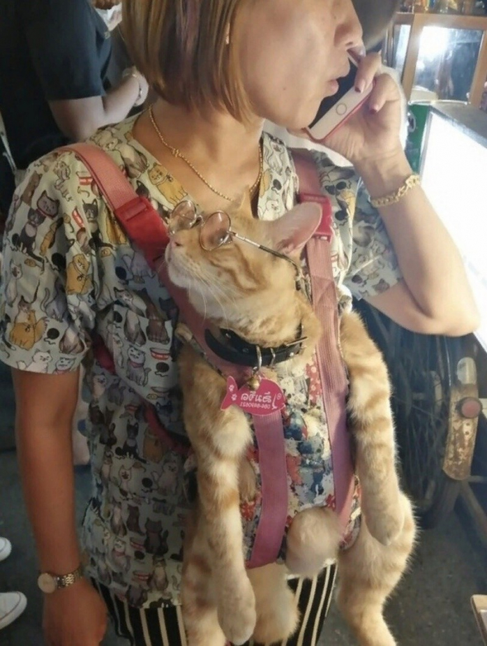 Чудики в метро