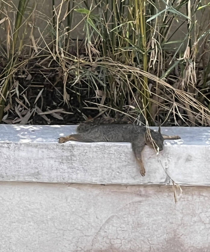 Позитив дня