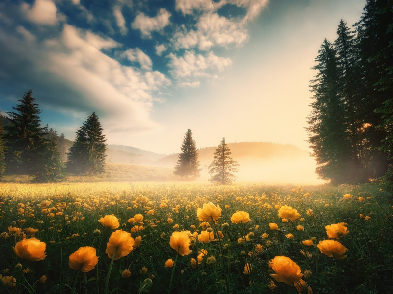 Добро и Позитив