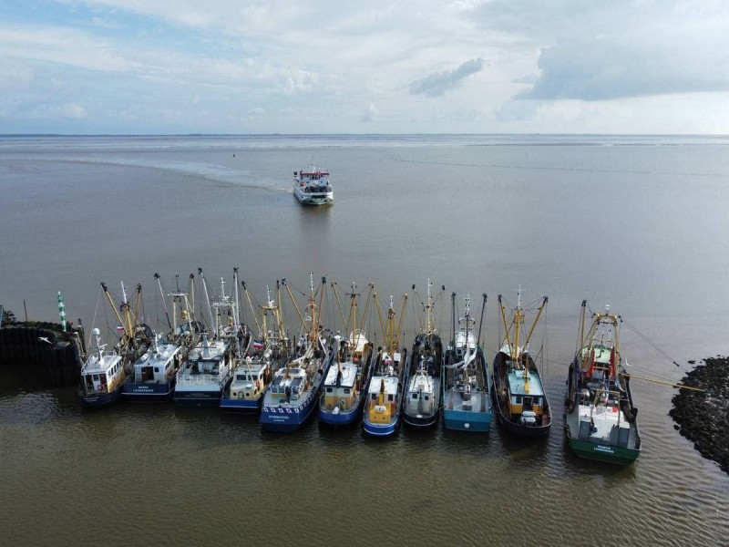 Добро и Позитив