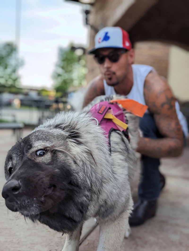 Добро и Позитив