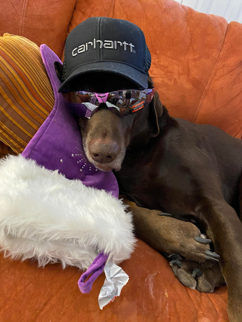 Добро и Позитив