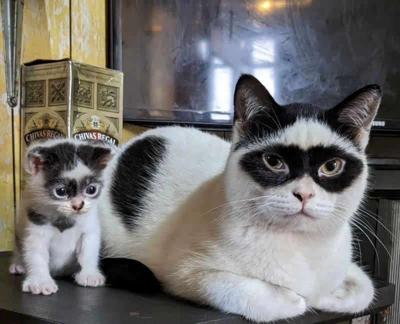 Добро и Позитив