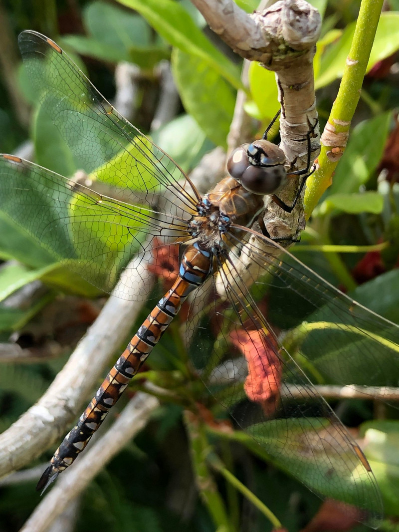 Добро и Позитив