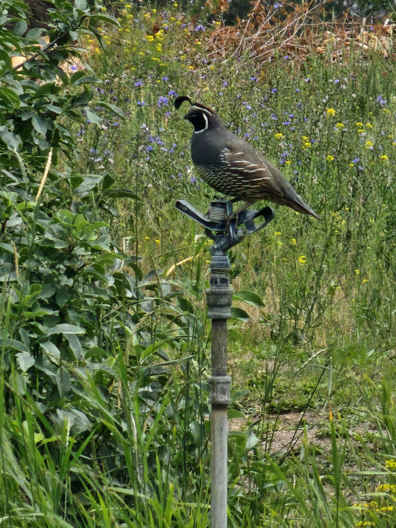 Добро и Позитив
