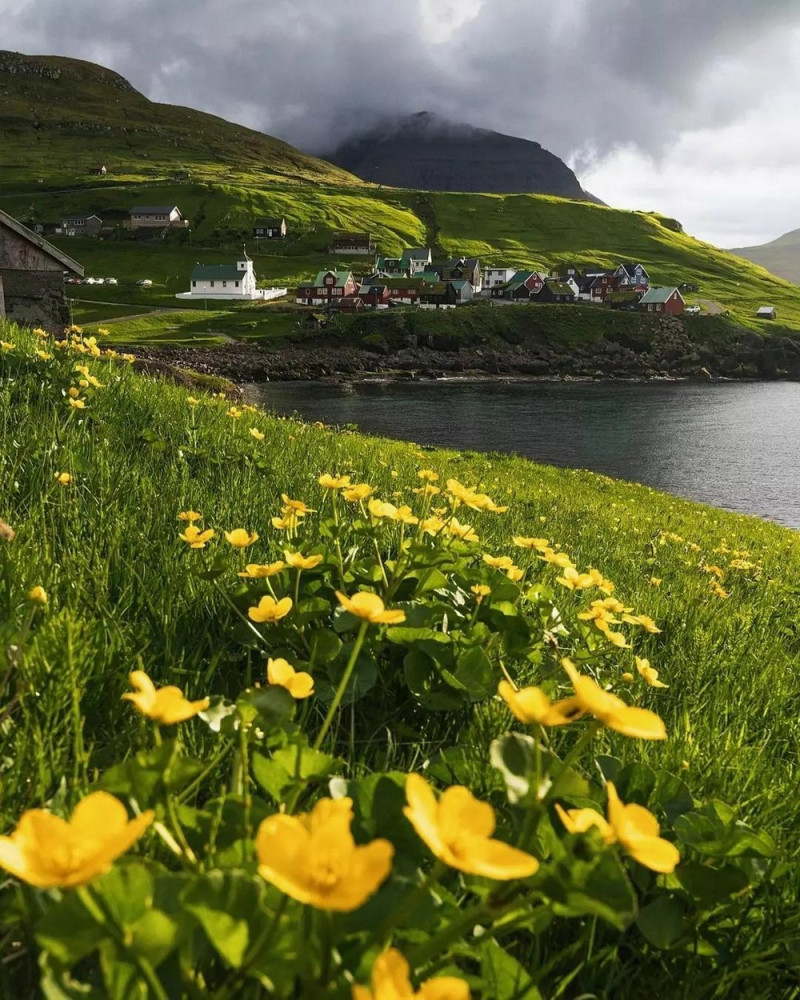 Добро и Позитив