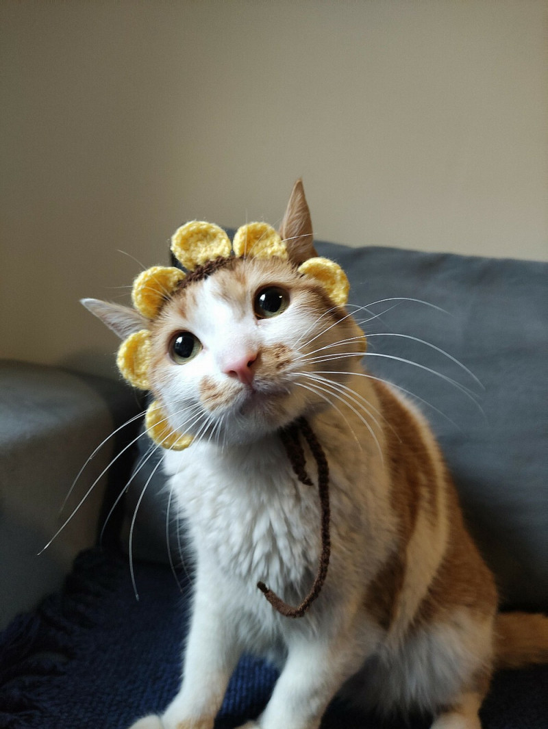 Добро и Позитив