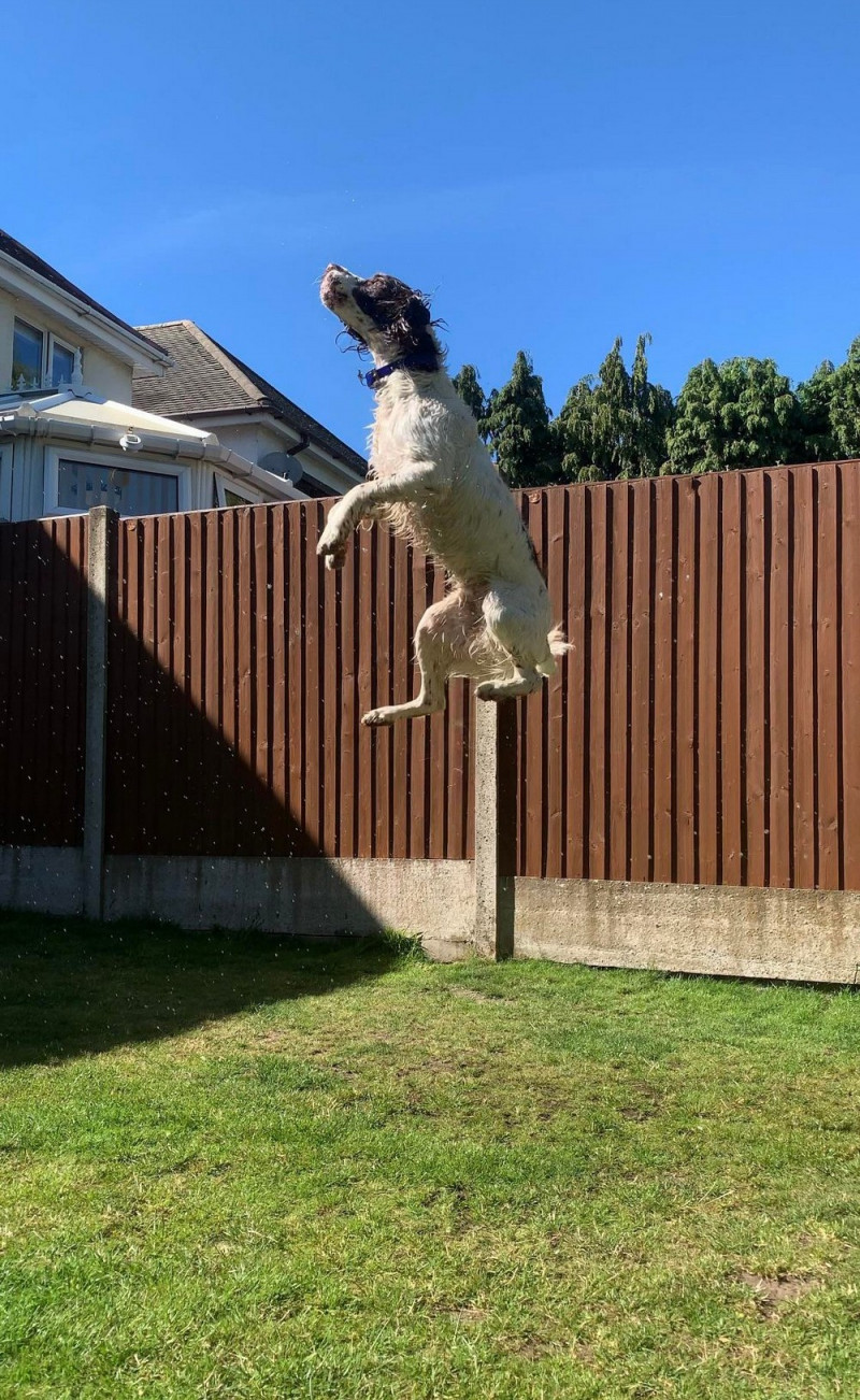 Добро и Позитив