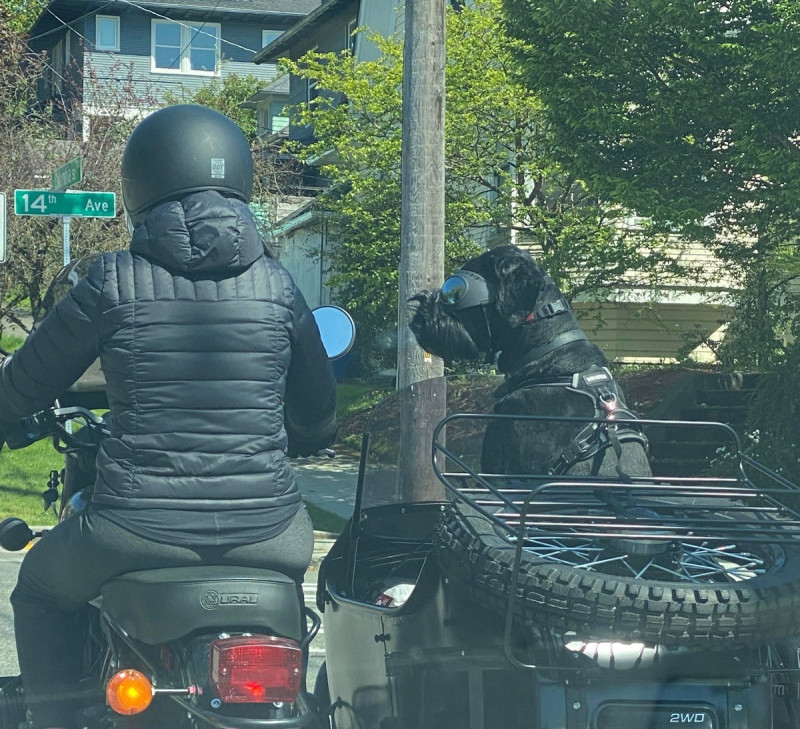 Добро и Позитив