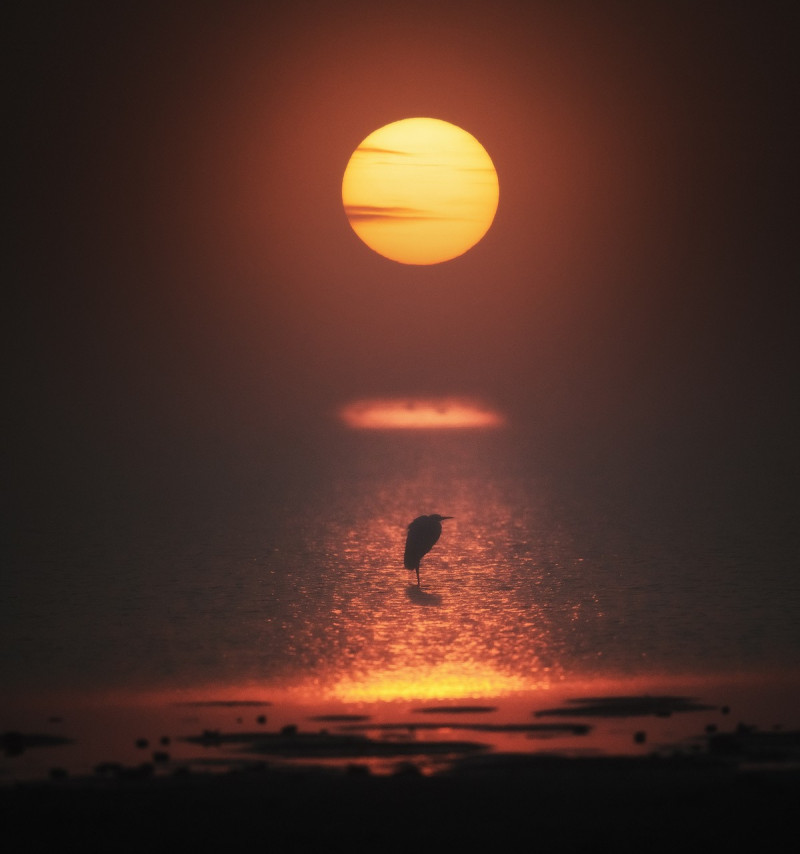 Добро и Позитив