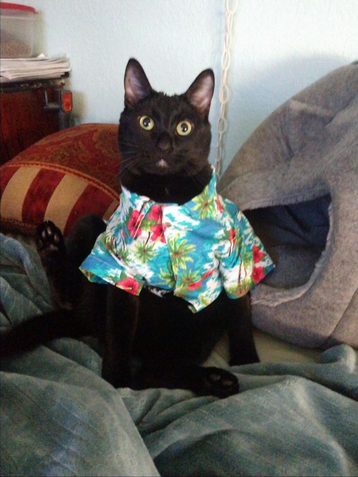 Прикольная картинка