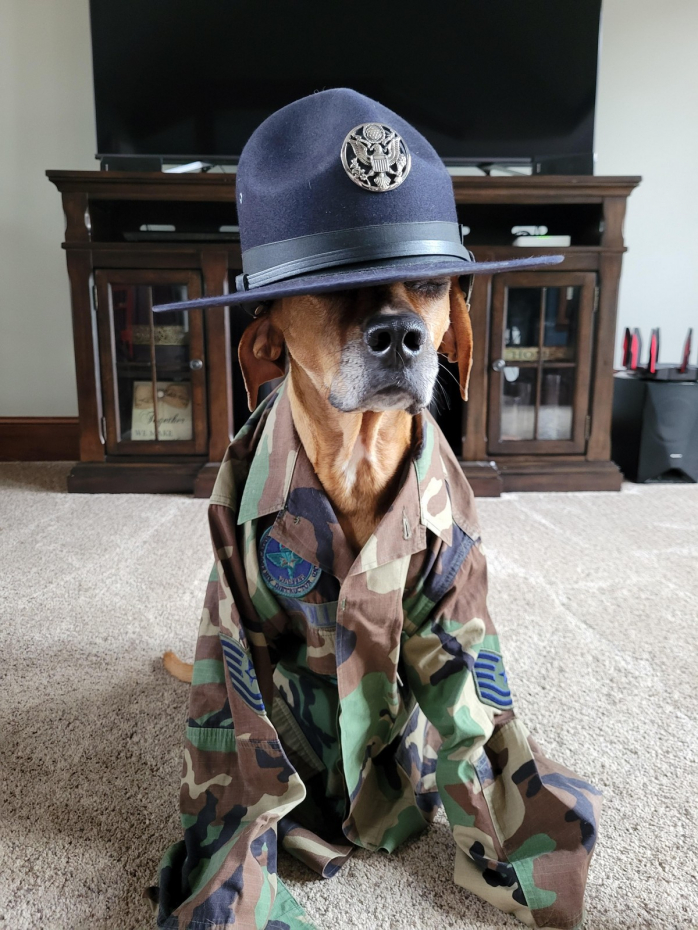 Прикольная картинка