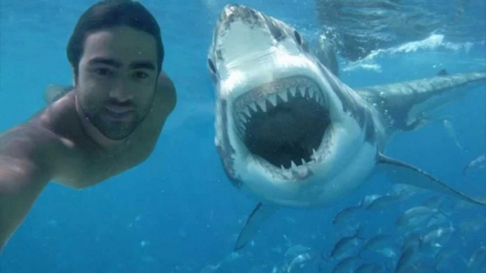 Позитив Досуга