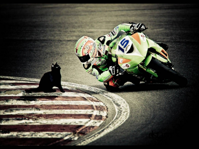 Позитив Досуга