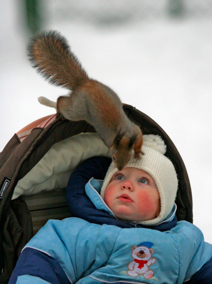 Позитив Досуга