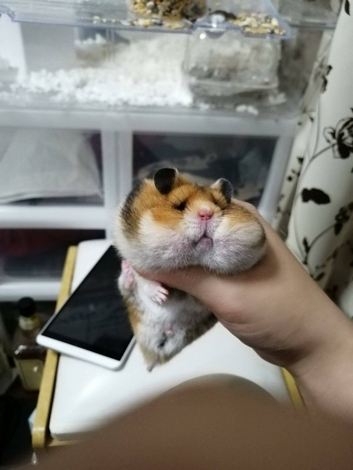 Интересное фото