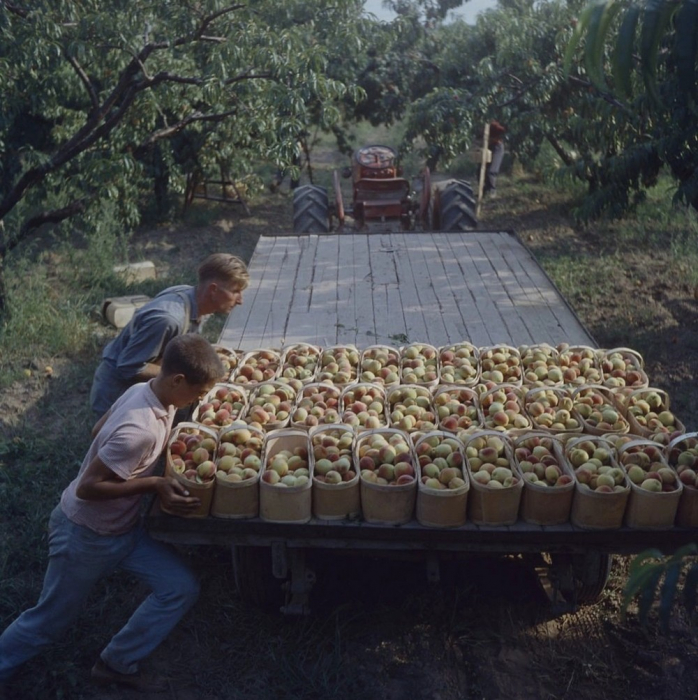 Интересное фото