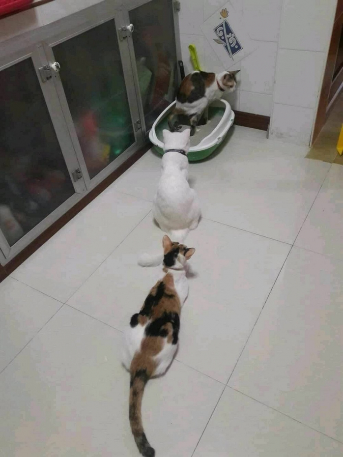 Интересное фото