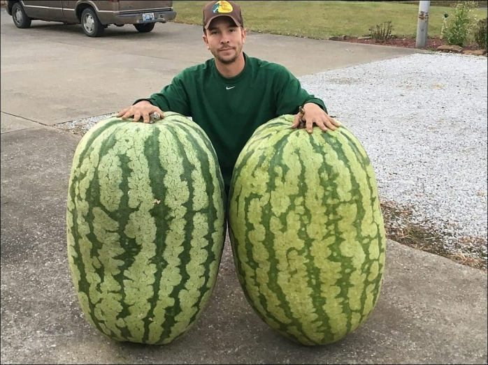 Интересное фото