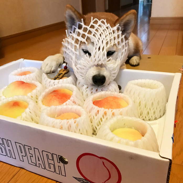 Интересное фото