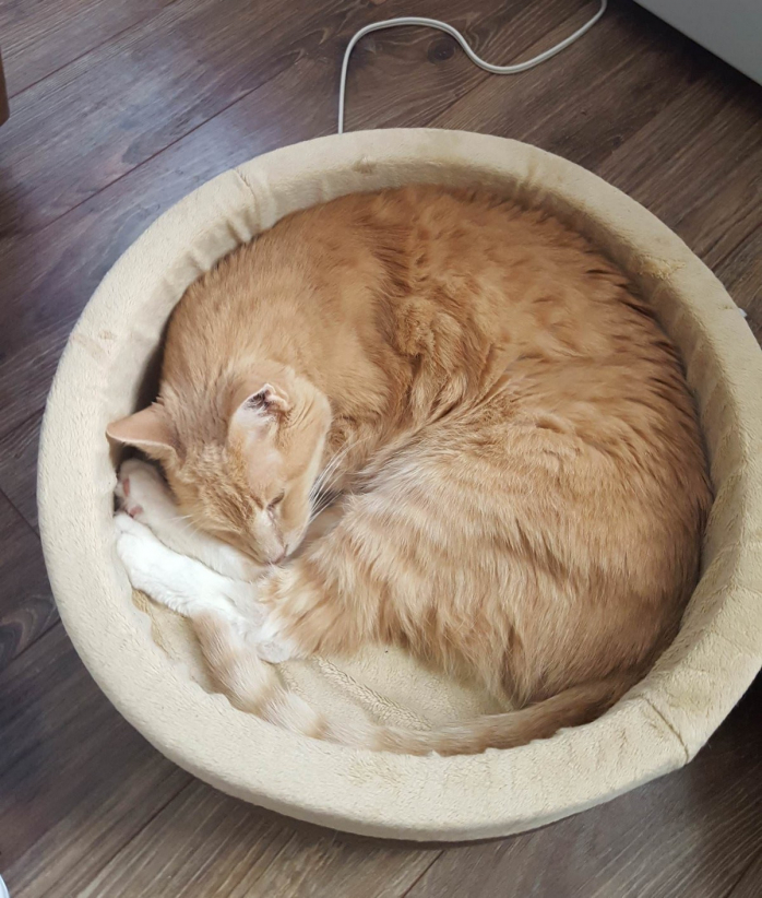 Интересное фото