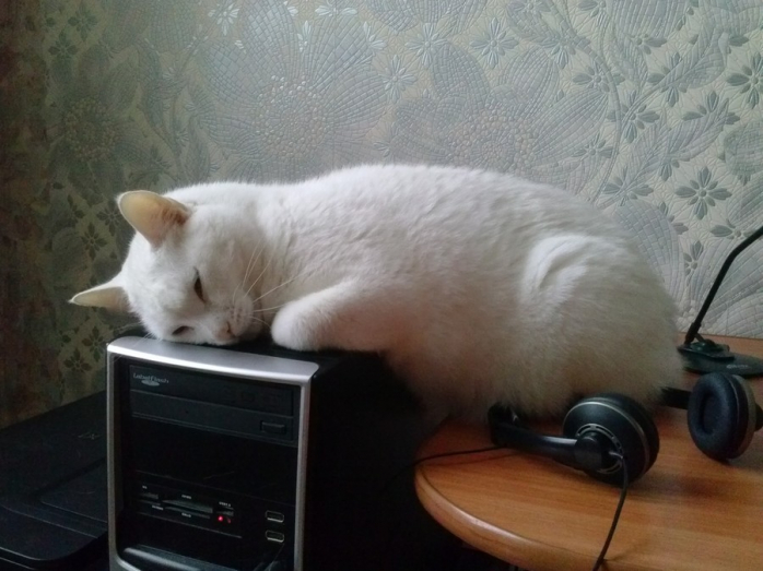 Юмор и Позитив на Dosuga.net