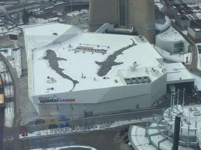 Юмор и Позитив на Dosuga.net